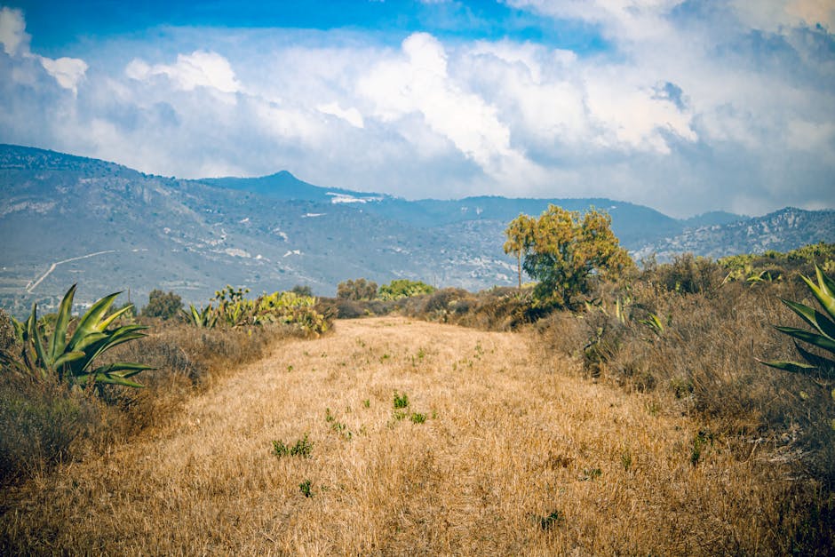 10 Alarming Cyber Attacks You Didn't Know Happened Last Year - Page 2