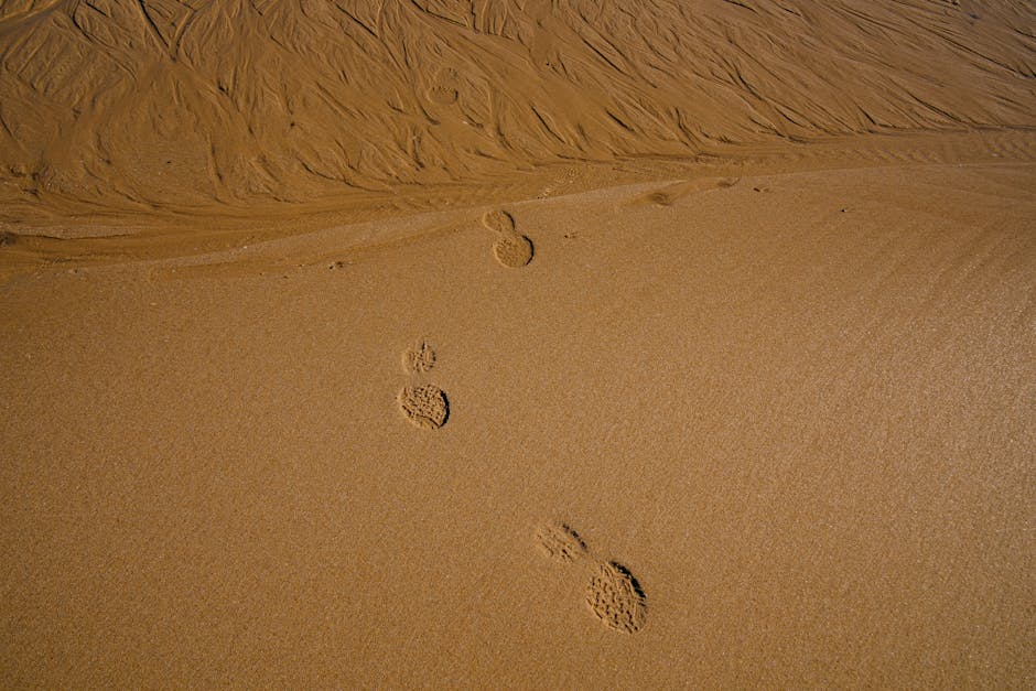 The Invisible Profile: 7 Chilling Facts About The Data Big Tech Has On YOU (And How To Take It Back) - Page 2