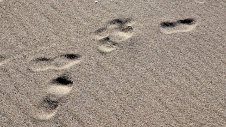 The Top 5 VPNs For Online Privacy: Protect Yourself From Hackers And Snoopers