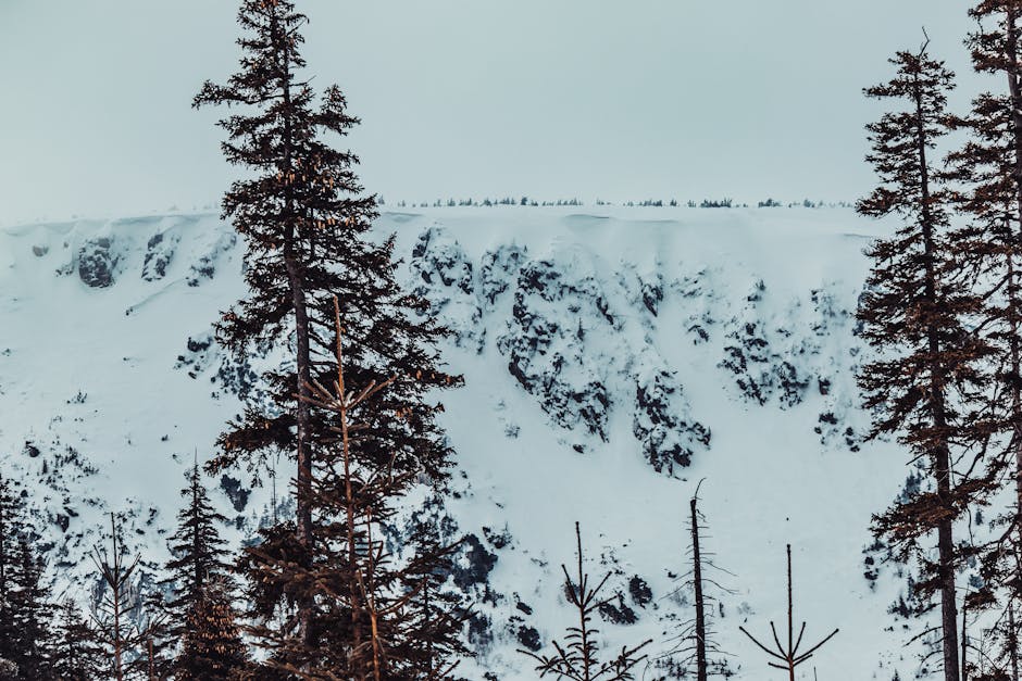 Warning: Your Smartphone Is Spying On You - Here's How To Stop It