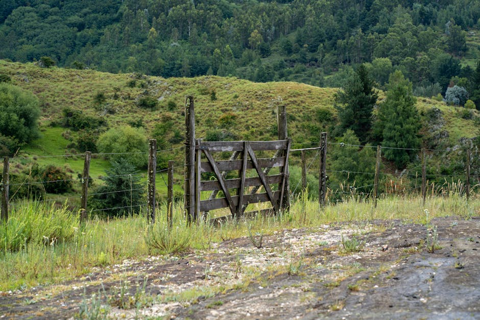 The #1 Cybersecurity Mistake 90% Of People Make (And How To Fix It In 5 Minutes) - Page 4