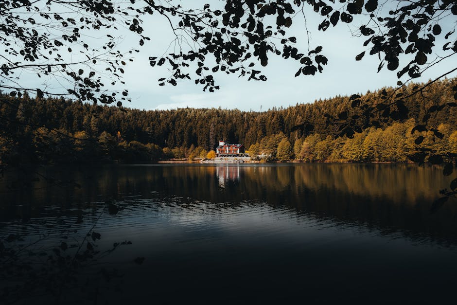 Unlock The Secrets: How To Browse The Internet Completely Anonymously - Page 1