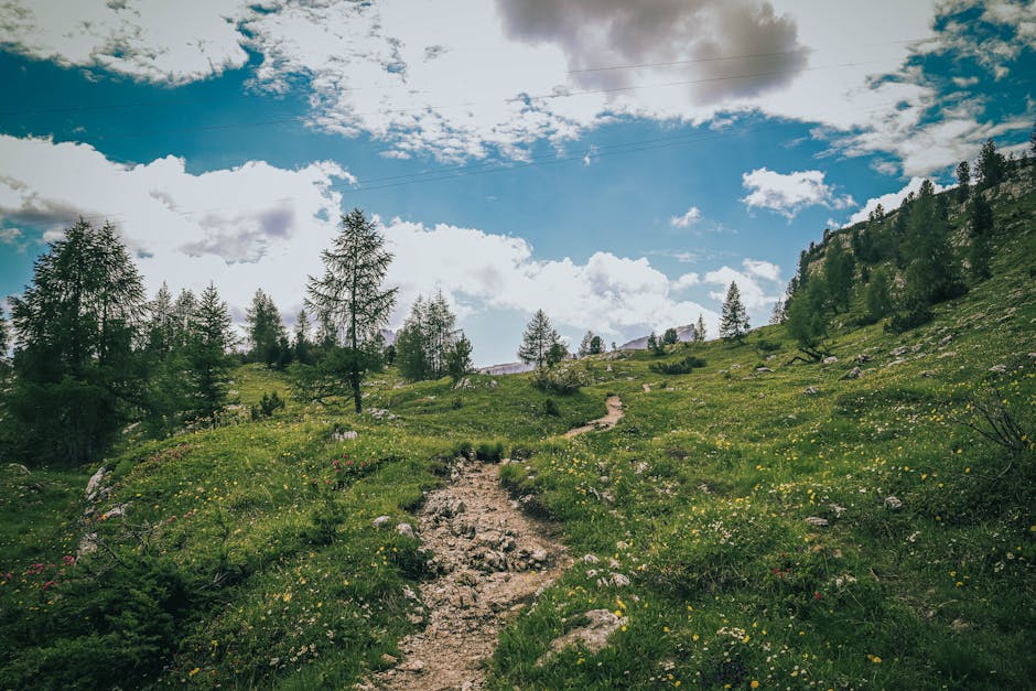 10 Shocking VPN Secrets Your Internet Provider Doesn't Want You To Know - Page 4