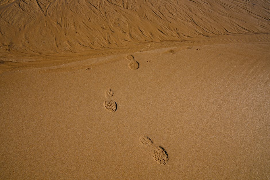 Go Invisible: The Ultimate Tech Tutorial To Erase Your Digital Footprint (Step-by-Step Guide) - Page 5