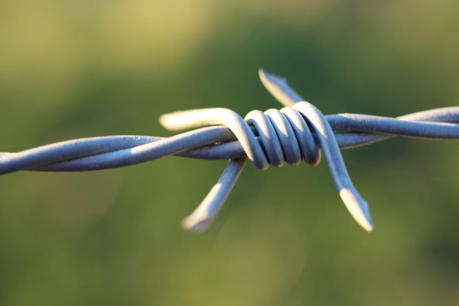 Go Invisible: The Ultimate Tech Tutorial To Erase Your Digital Footprint (Step-by-Step Guide) - Page 6