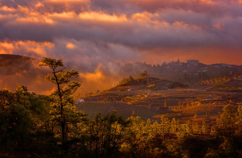 The Shocking Truth About Public Wi-Fi: Why You Should Never Use It Again - Page 1