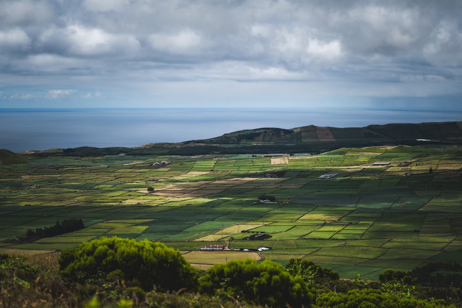 The Shocking Truth About Public Wi-Fi: Why You Should Never Use It Again - Page 2