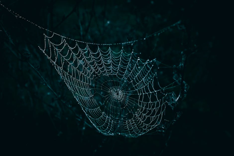 Unlocking The Secrets Of The Dark Web: What You Need To Know - Page 3