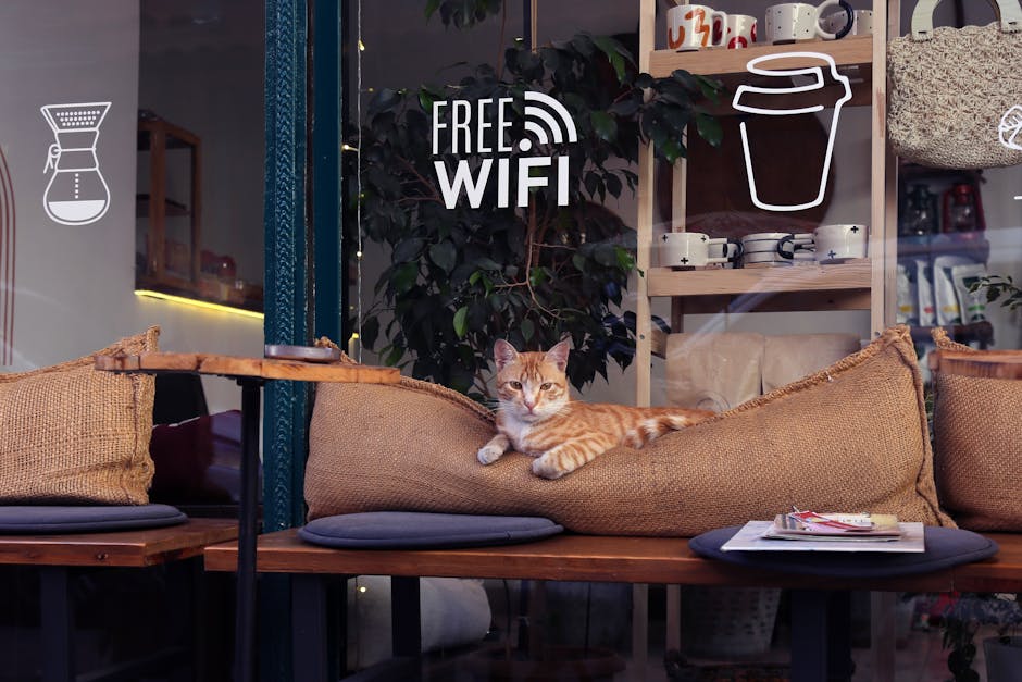 Your Wi-Fi Is Spying On You: Top VPNs That Actually Protect Your Privacy (2024 Guide) - Page 3