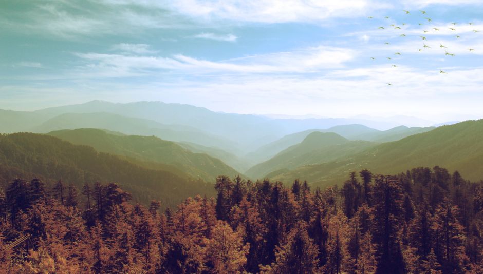 Ditch Expensive Software: 7 FREE AI Tools That Do The Same (or BETTER!) Than Paid Apps - Page 3