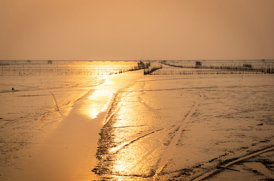 Unlock Everything: The #1 VPN Hack That Bypasses ALL Streaming Blocks Instantly (Netflix, Disney+, & More) - Page 2